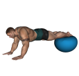 Plank - Fitness Ball Reverse